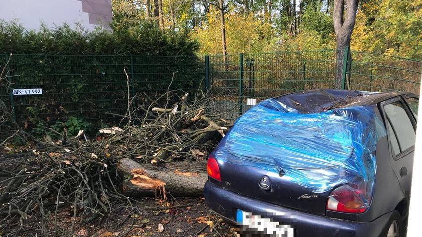 In der Schultheißallee am Nürnberger Luitpoldhain krachte ein Baum auf ein geparktes Auto.