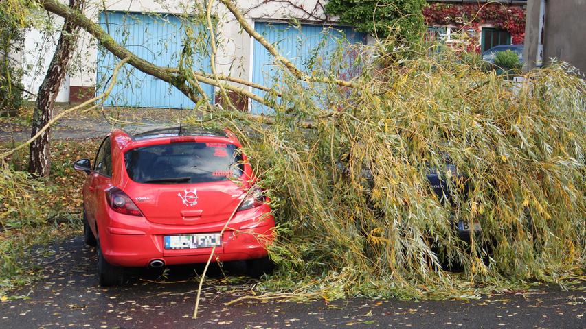 In Creußen (Landkreis Bayreuth) kippte ein Baum auf zwei geparkte Autos und beschädigte diese.