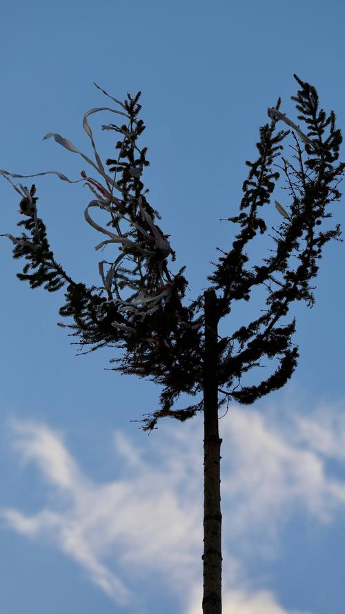 Trauriger Anblick: Sichtbare Schäden hinterließ das Sturmtief "Herwart" am Sonntag auch in Erlangen-Bruck: Eine Böe knickte die Spitze des Kerwabaums einfach ab, das rund 1,50 Meter lange Stück stürzte zu Boden.
