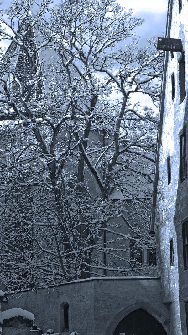 Im Pappenheimer Kloster gibt es eine Gruft, aus der angeblich noch heute Schritte zu hören sind. Außerdem erzählt man sich in der Altmühlstadt, dass in der gotischen Kirche Gegenstände vom Altar verschwinden, nachts Gepolter zu hören ist und morgens Messbücher auf dem Boden liegen. Selbst ein Kamerateam des Bayerischen Fernsehens hat die Kirche schon mit einer Gänsehaut verlassen. Bei seinem Dreh fiel mehrmals der Strom aus, obwohl die komplette Technik offensichtlich in Ordnung war. Verantwortlich dafür soll die "ruhelose Komtesse" sein. Während des 30-jährigen Krieges soll sich die junge Gräfin Anna Ursula zu Pappenheim mit einem Bauernsohn eingelassen haben. Deshalb wurde sie von ihrer Familie verstoßen und ins Kloster verbannt. Als die Schweden auf Pappenheim marschierten, flohen alle, nur die Komtesse wurde vergessen. Die Schweden plünderten das Kloster und die junge Gräfin kletterte in Todesangst aufs Dach. Was dann aber geschah, ist unbekannt. Weil Verstorbene mit solche einem Schicksal bekanntlich keine Ruhe im Grab finden und es zudem in diesem Fall ja nicht einmal ein Grab gibt, ist die Komtesse seitdem angeblich als gebückte Gestalt mit den Händen auf dem Rücken im Kloster unterwegs. Noch heute sind angeblich bei Neuschnee ihre Fußspuren auf dem Klosterdach zu sehen.