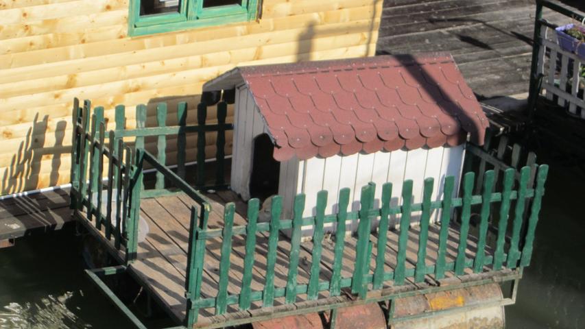 Dort in Belgrad, wo der Fluss Save in die Donau fließt, stehen aufgereiht Hausboote. Der Hund in seiner Hütte hat eine eigene Plattform.