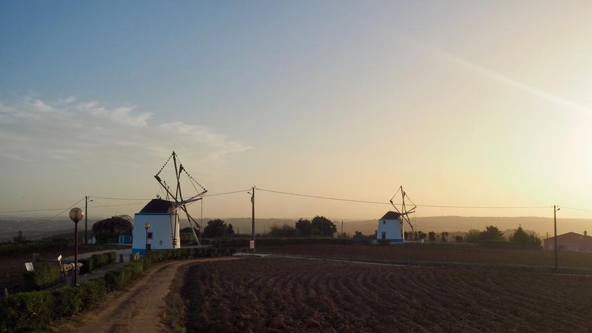 Die Mühlen Moinhos da Pinhôa in Moita dos Ferreiros zeigen die Geschichte der Windmühlen in Portugal.