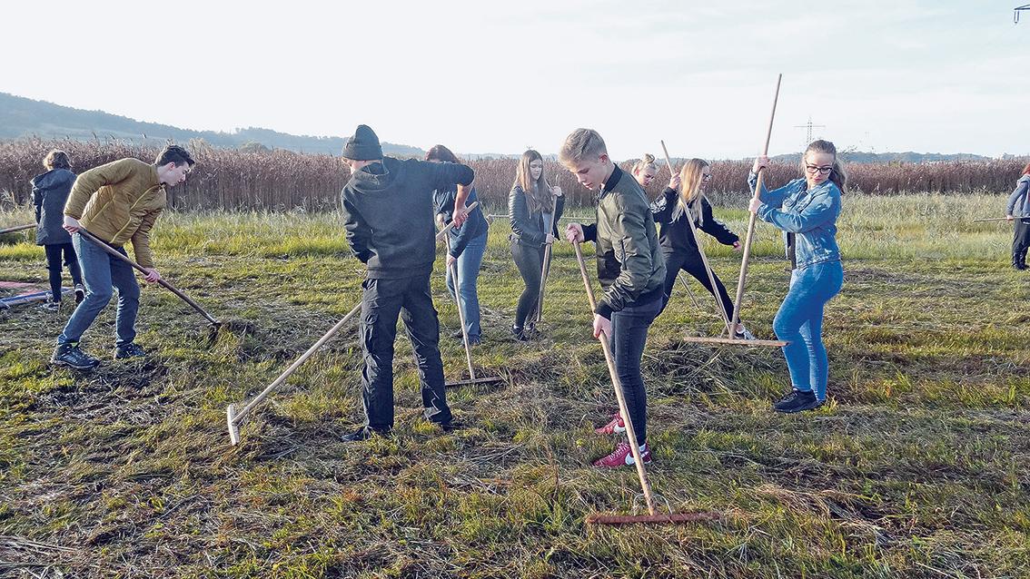 Schüler mähen im Naturschutzgebiet Schambachried Nordbayern Schüler mähen im Naturschutzgebiet Schambachried Nordbayern