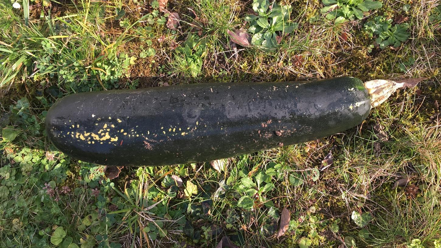 Ein 81 Jahre alter Mann hatte diese Zucchini mit einer Weltkriegsbombe verwechselt und die Polizei gerufen.