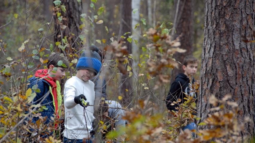 Der Weg durchs Brombeergestrüpp war in dem abgezäunten Areal an manchen Stellen gar nicht so einfach.