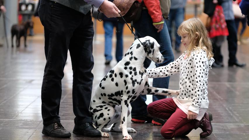 Im Partnerlook: Ein Mädchen streichelt einen Dalmatiner.