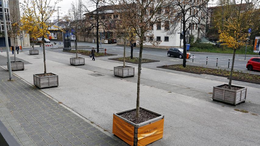 Ohne Baumspender geht es auch nicht. Die VAG und der VGN sowie die N-Ergie stiften immer wieder Bäume, um alte oder neue Standorte aufzufüllen. Zuletzt hatte auch Siemens in Bäume investiert. Im Schnitt kostet ein Baum 2500 Euro inklusive Pflege. Manche aufwändig hergerichtete Standorte schlagen aber laut Sör auch mit bis zu 10.000 Euro zu Buche. Daher gibt es in Nürnberg sogar eine "Bäume für Nürnberg Stiftung". Sie hat seit 2013 bereits dafür gesorgt, dass über 60 zusätzliche Straßenbäume gepflanzt wurden. Mit Petra Wang gibt es bei Sör jetzt sogar eine neue Stadtbaum-Managerin in Nürnberg.