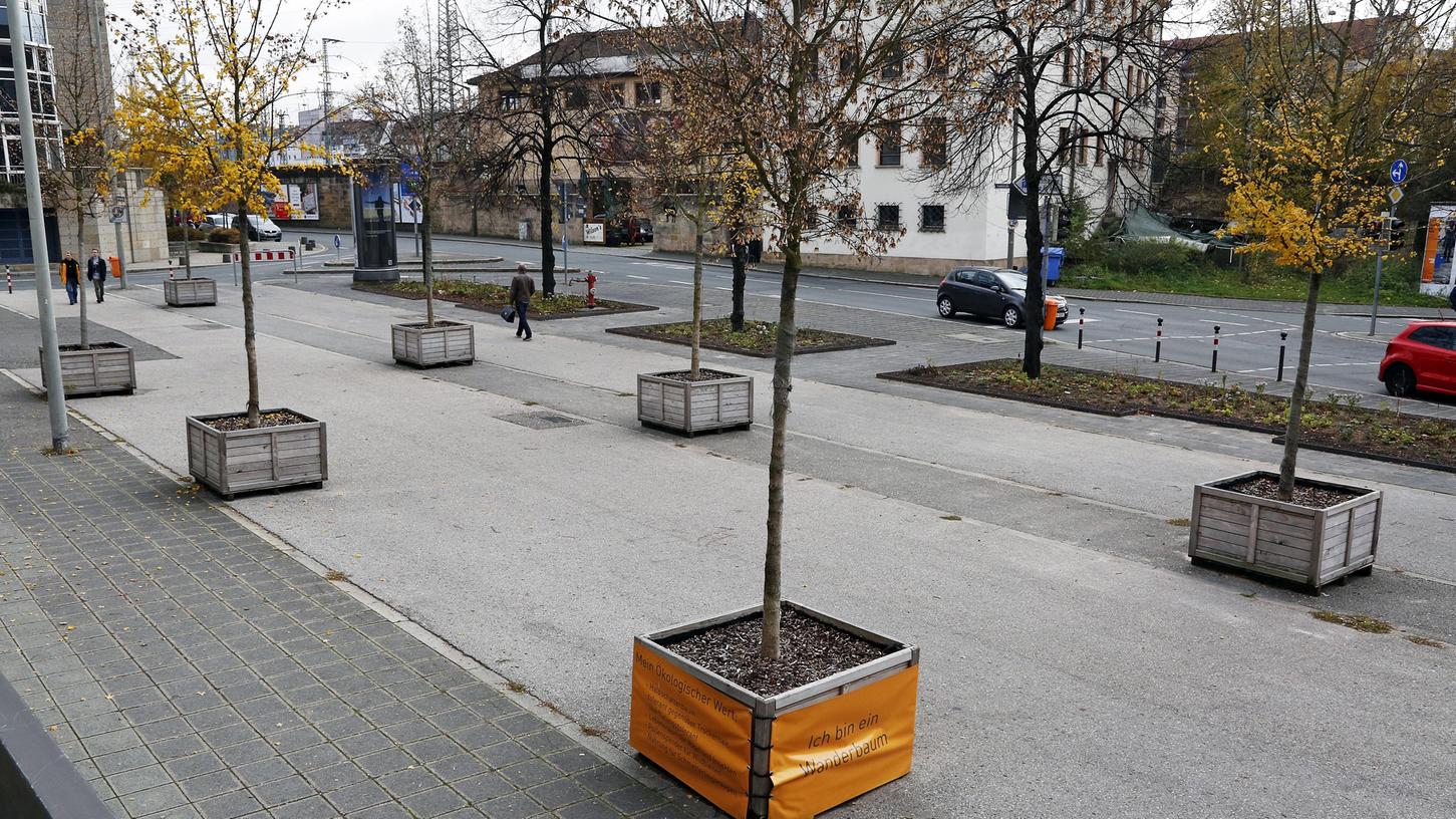 Die mobilen Wanderbäume (hier vor den Kammerspielen) sorgen nicht bei allen Nürnbergern für Freude.