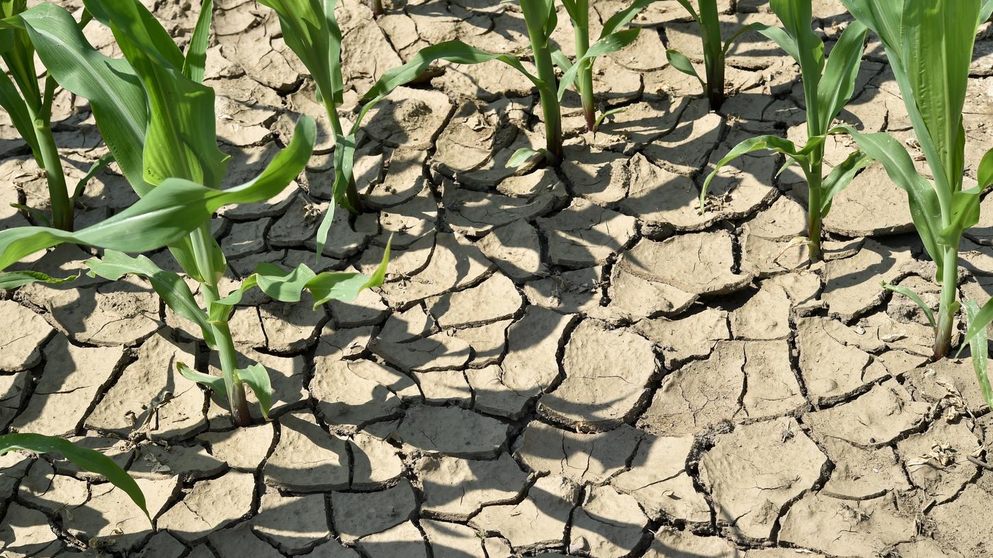 Der Klimawandel wird zu vermehrten Dürren auf der Erde führen.