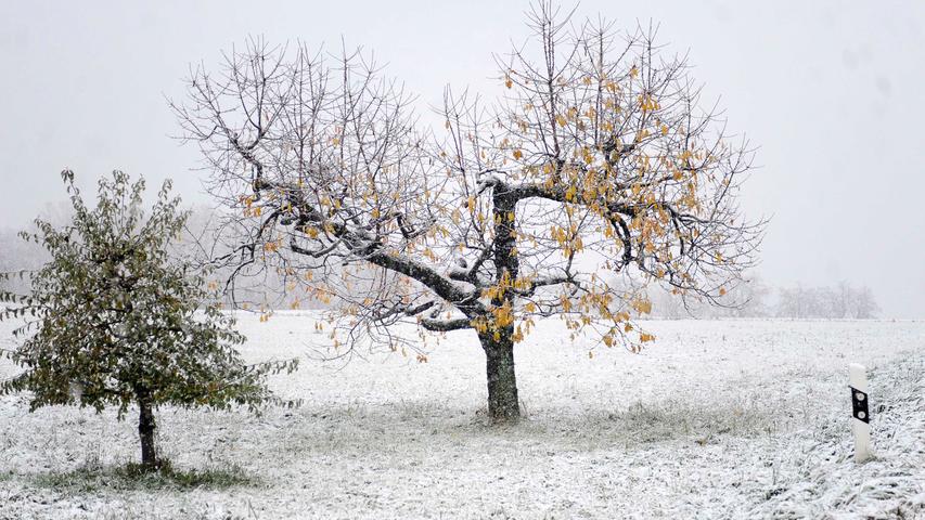 Romantische Landschaft: Erster Schnee rund um Forchheim