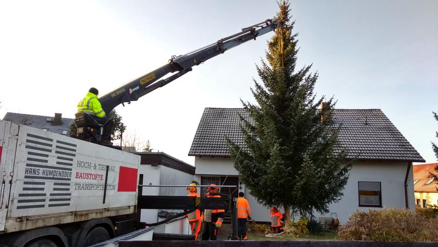 So kommt der Weihnachtsbaum auf den Schwabacher Marktplatz