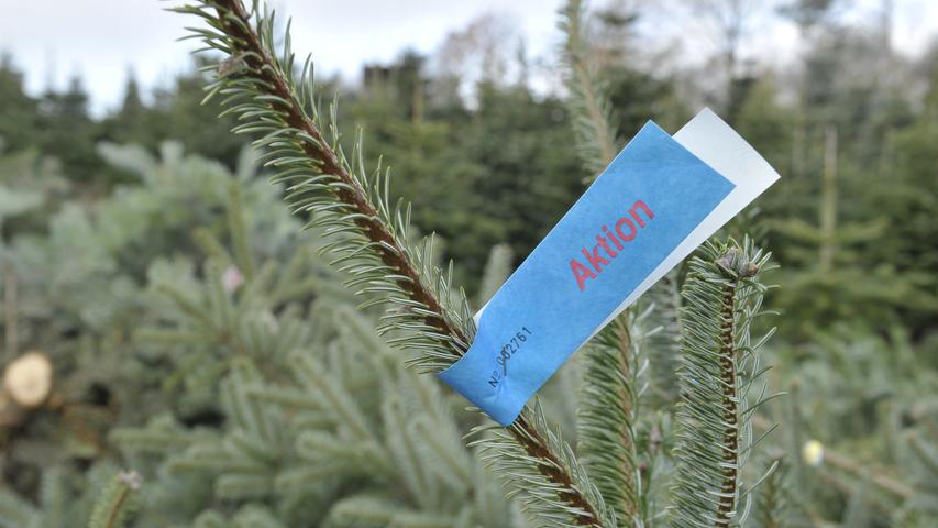 Spätestens an den Adventssamstagen herrscht auf dem Hof von Doris Geyer drangvolle Enge. Zusätzlich zu den bis zu 300 ausgestellten Weihnachtsbäumen sind dann Hundertschaften von Christbaum-Kunden vor Ort.