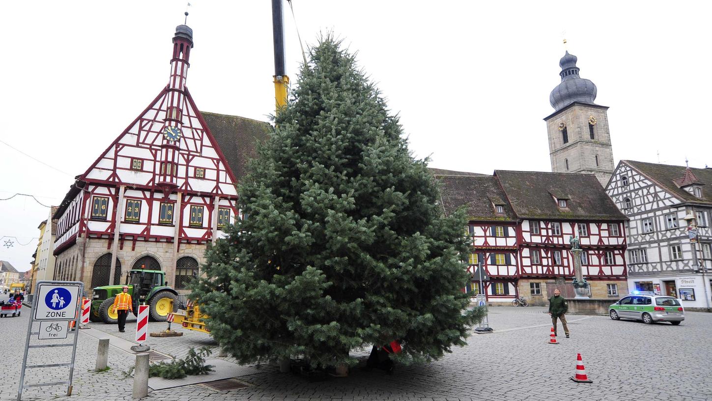 Forchheim: Weihnachtsbaum schmückt den Rathausplatz 