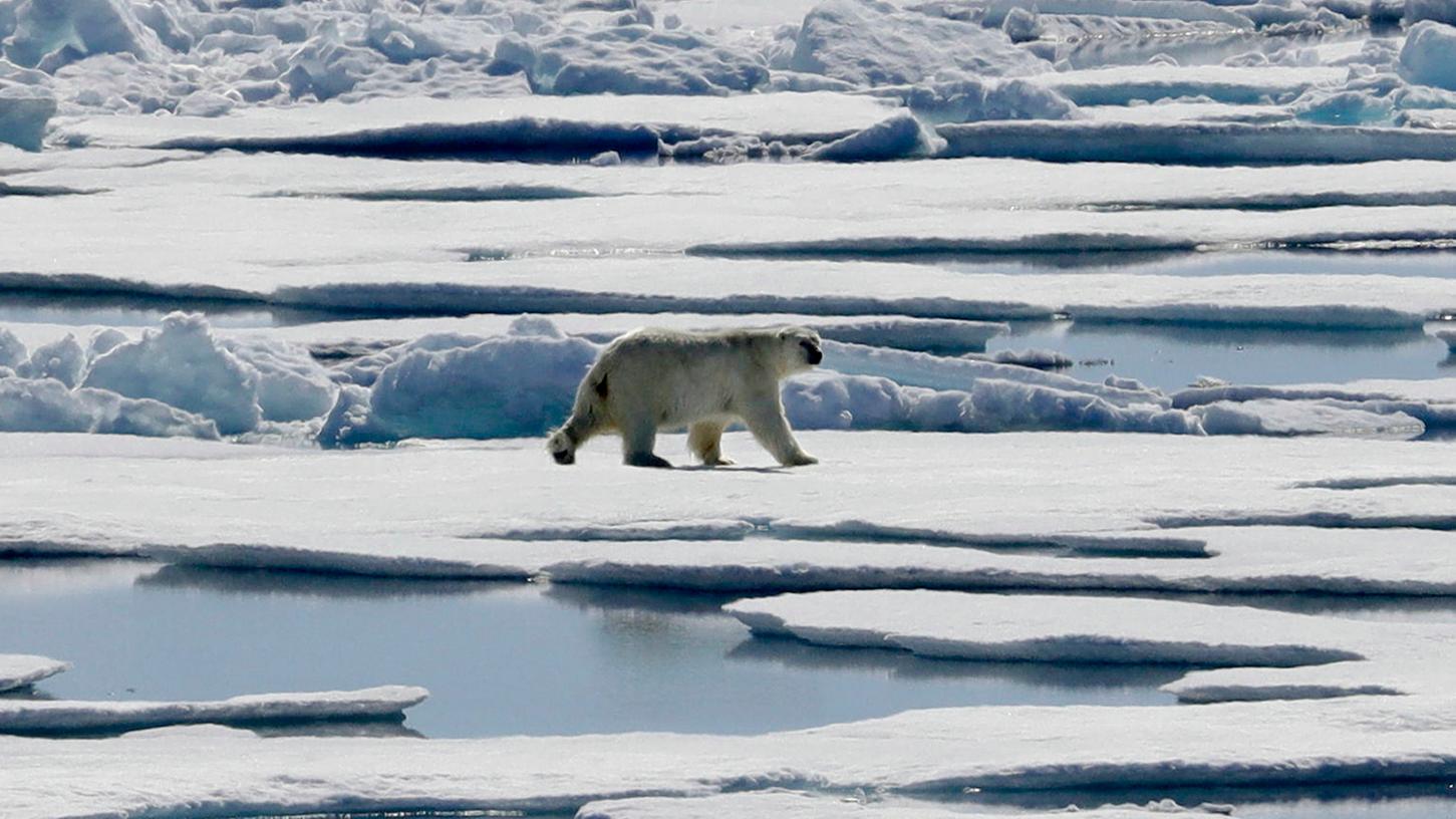 Hoffentlich kann dieser Eisbär noch länger auf seiner Eisscholle herumlaufen. Dafür sind internationale Klimaabkommen unabdingbar.