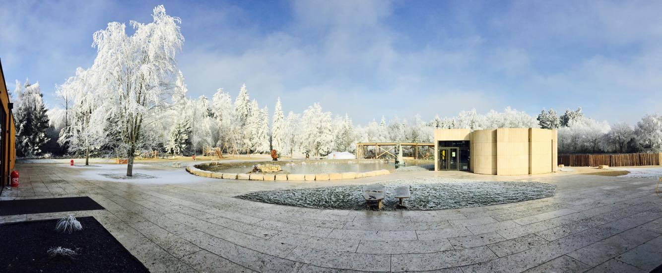 Auch Dinosaurier wollen Weihnachten feiern