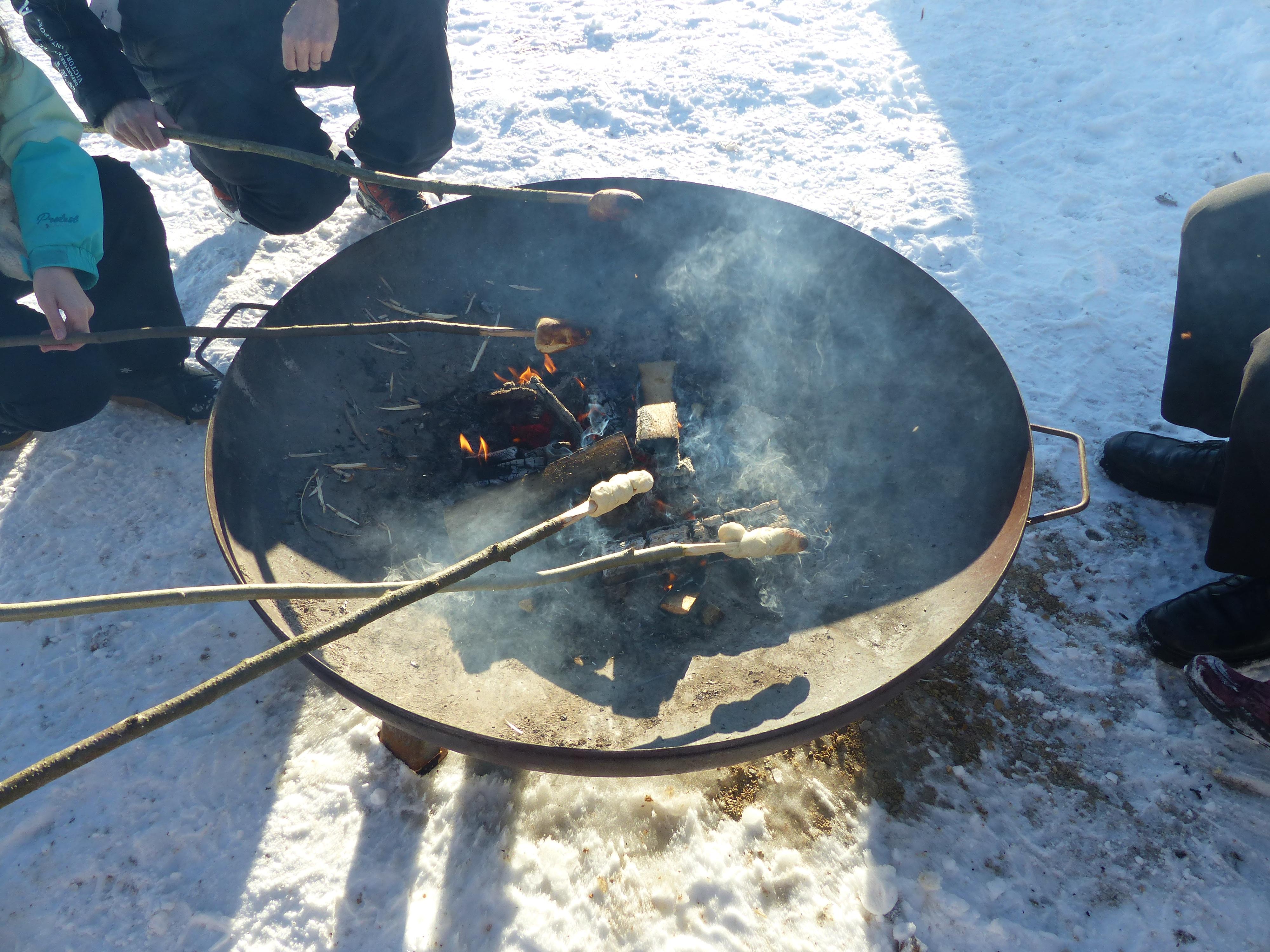 Auch Dinosaurier wollen Weihnachten feiern