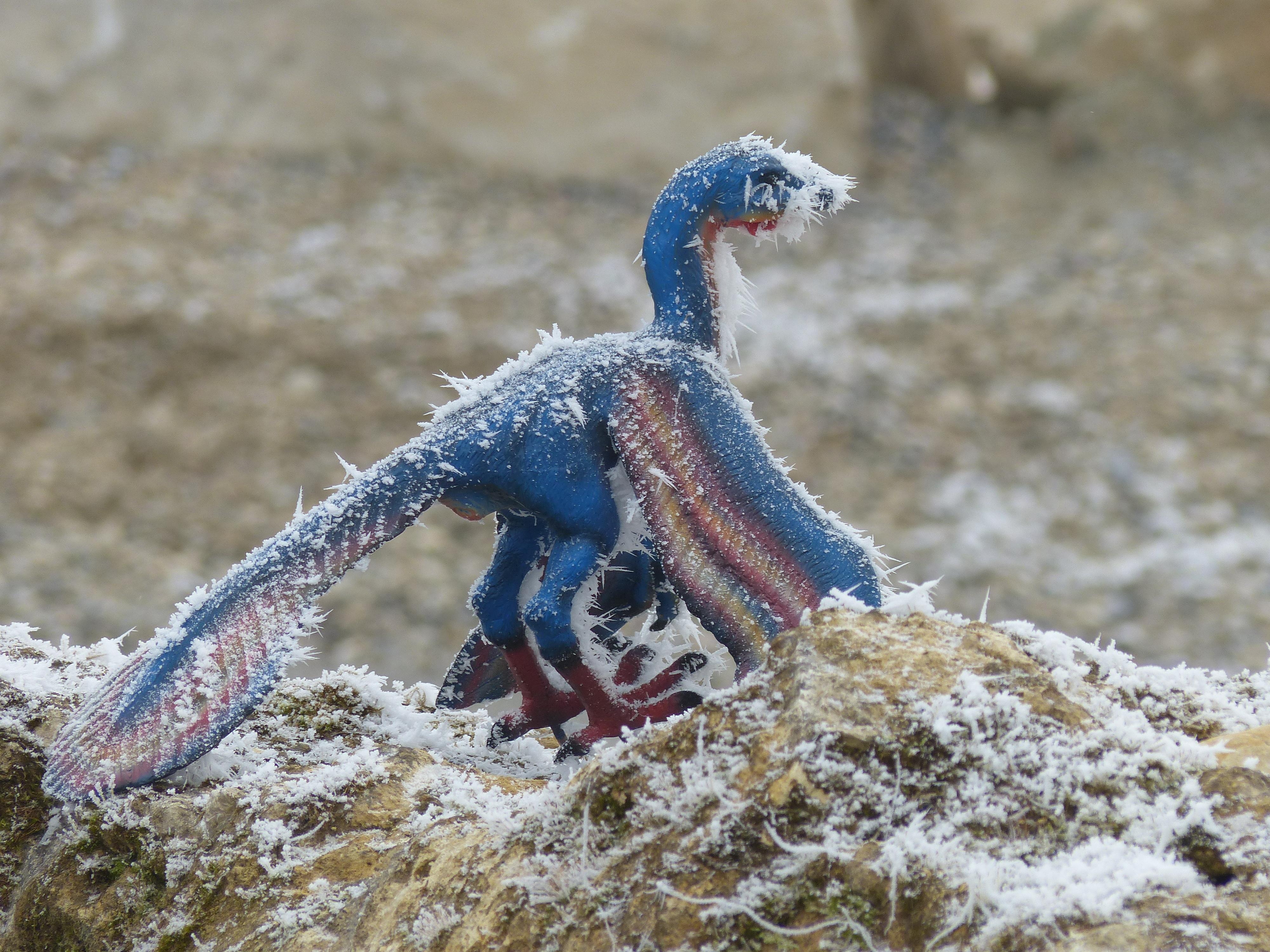 Auch Dinosaurier wollen Weihnachten feiern