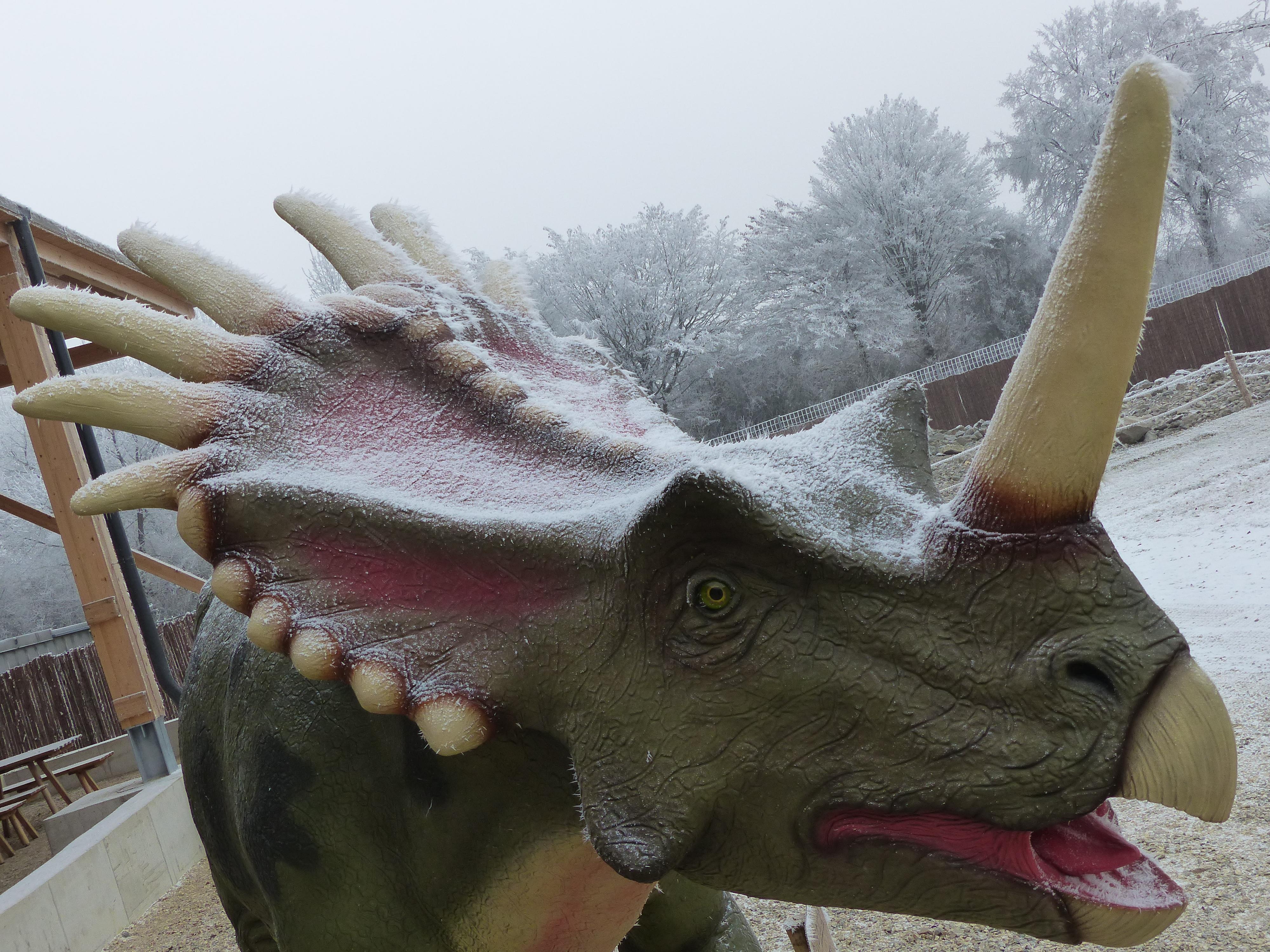 Auch Dinosaurier wollen Weihnachten feiern