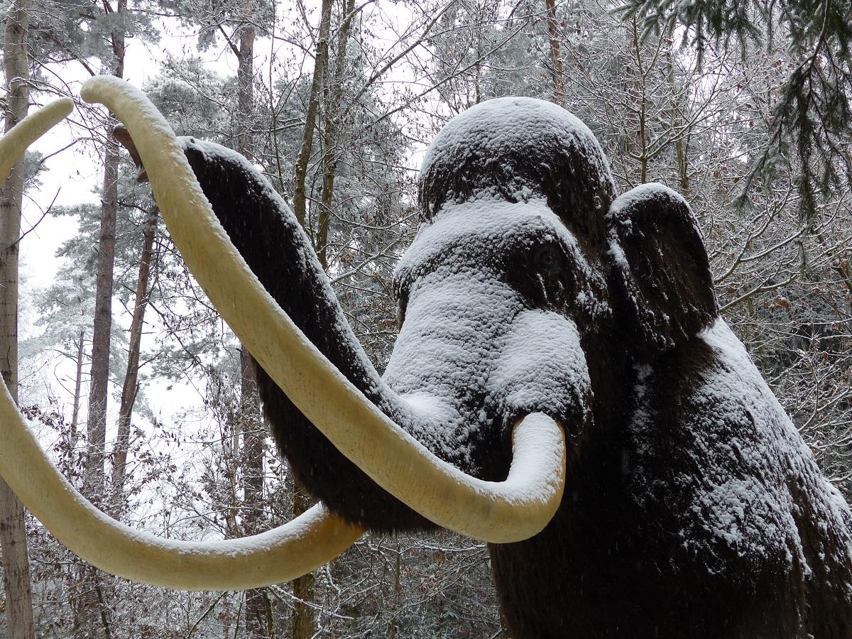 Auch Dinosaurier wollen Weihnachten feiern