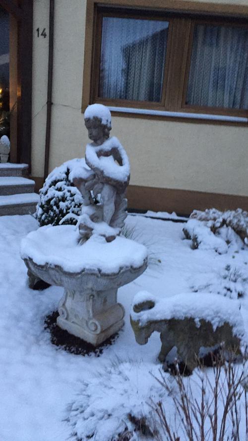 Winterzauber in Gunzenhausen: So schön ist der Schnee! 