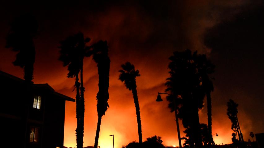 Kalifornien in Flammen: Buschbrände erschüttern US-Staat