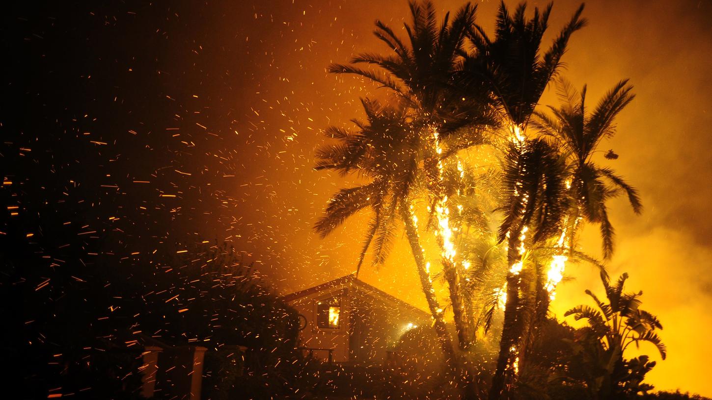 Brennende Palmen, Häuser, Landschaften: Los Angeles wurde von einem der schwersten Feuer in dessen Geschichte getroffen.