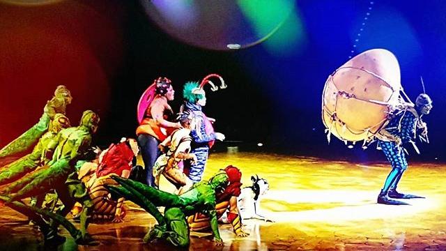 Cirque du Soleil: Kunterbunte Insektenshow in Nürnberg