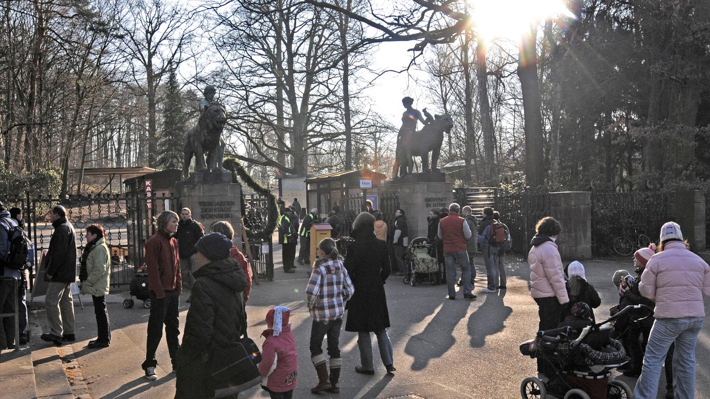Die Karte für einen Besuch im Tiergarten Nürnberg kostete einen Erwachsenen bisher 13,50 Euro. Ab April werden die Kosten erhöht - 16 Euro muss man dann für ein Ticket hinblättern.