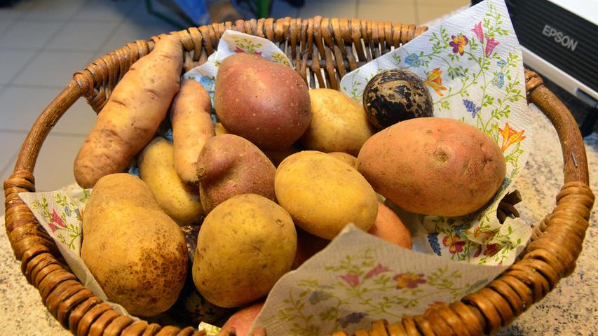 Linda, Franceline und Co.: Großes Kartoffelessen im Biolandhof Weller