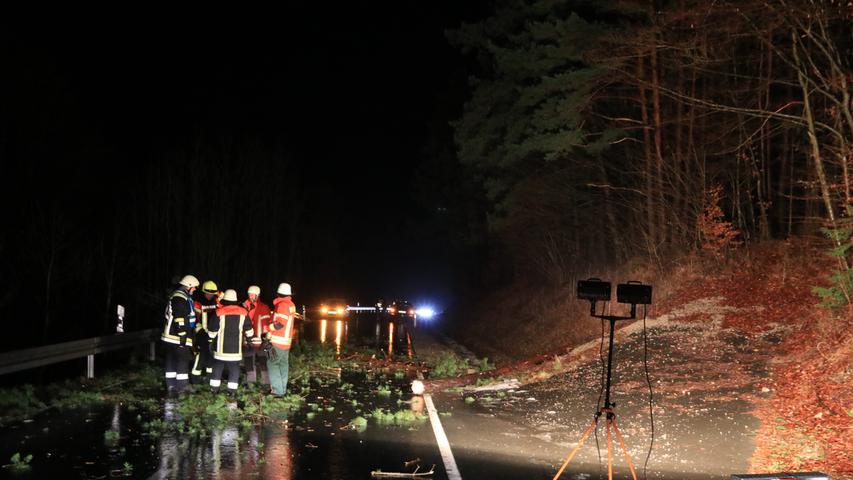 Unfall mit zwei Autos: Angesägter Baum stürzt auf Fahrbahn