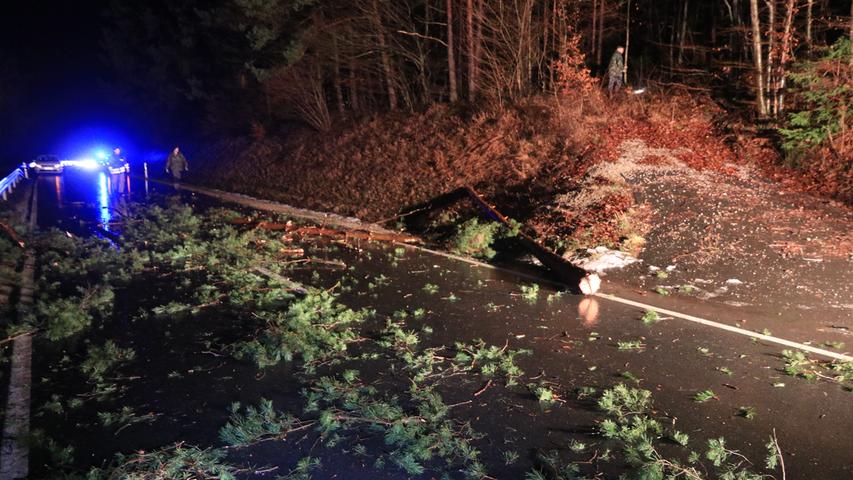 Unfall mit zwei Autos: Angesägter Baum stürzt auf Fahrbahn