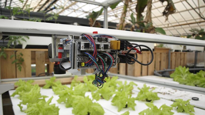 Und Kuhlemann und ihre Mitstreiter forschen: Dieser Roboter soll via Kamera Schädlinge am Salat erkennen.