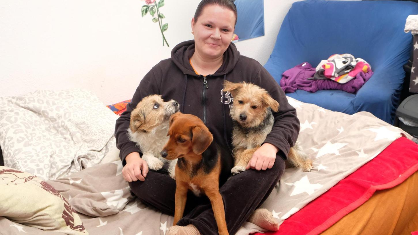 Diese Drei sind ihr ein und alles: Dank Pebbles, Bam Bam und Junior fand Claudia B. wieder neuen Lebensmut und knüpfte neue Kontakte zu anderen Hundebesitzern.