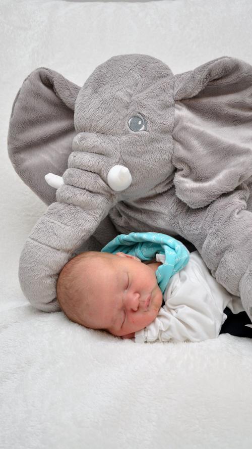 Törööö! Alexander war bei seiner Geburt stolze 56 Zentimeter groß und 4050 Gramm schwer. Er kam am 19. Dezember im Klinikum Hallerwiese zur Welt.