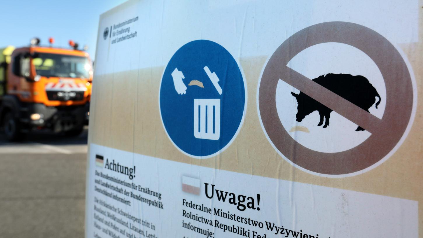 Bayerische Bauern fürchten afrikanische Schweinepest