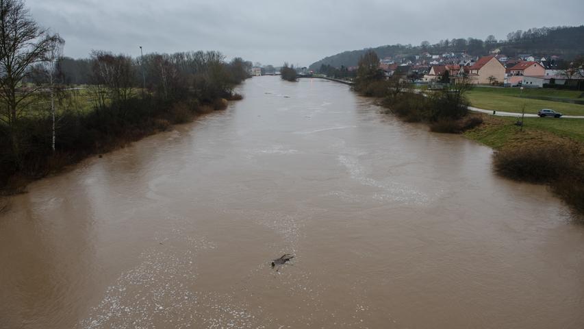 Der Main führt am 04.01.2018 bei Viereth-Trunstadt (Bayern) durch die anhaltenden Regenfälle Hochwasser.