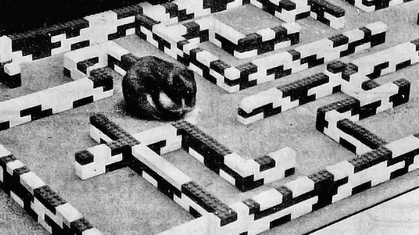 Aus Legosteinen ist dieses Labyrinth gebaut, in dem der Hamster seine Futterstelle sucht. Hier geht es zum Kalenderblatt vom 6. Januar 1968: In Hamster verliebt