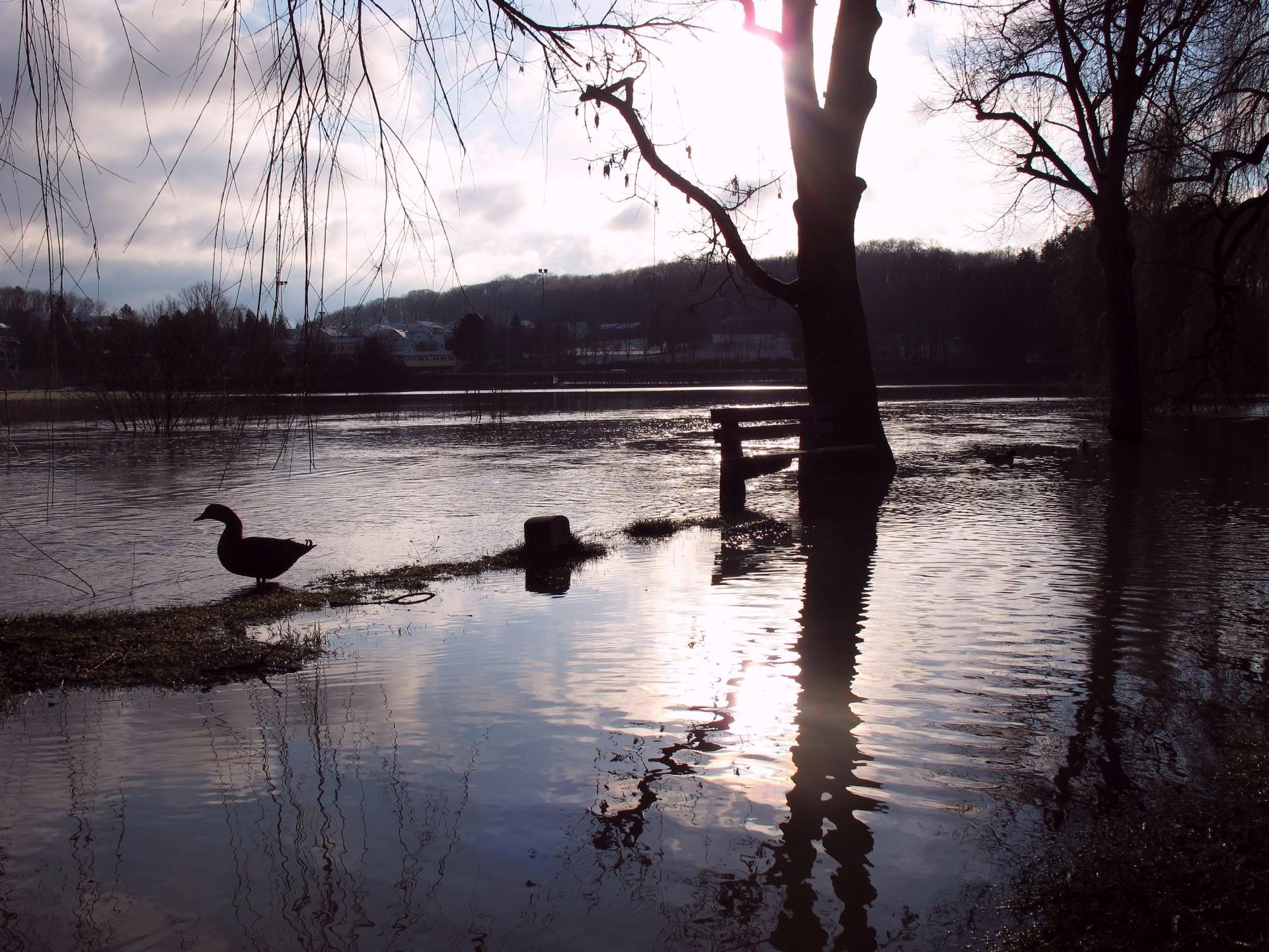 Dass die Altmühl in und rund um Treuchtlingen über die Ufer tritt, ist nichts Neues. Vor allem früher, als der Fluss noch begradigt und in ein enges, künstliches Bett gepresst war, stieg das Wasser bei Schneeschmelze und Dauerregen manchmal bis weit in die Hauptstraße. Und auch aus den Bächen oder vom Patrich drohte bisweilen nasses Ungemach. Das zeigen einige unserer Archivaufnahmen aus den 1950er bis 2010er Jahren eindrucksvoll - hier aus dem Jahr 2012.