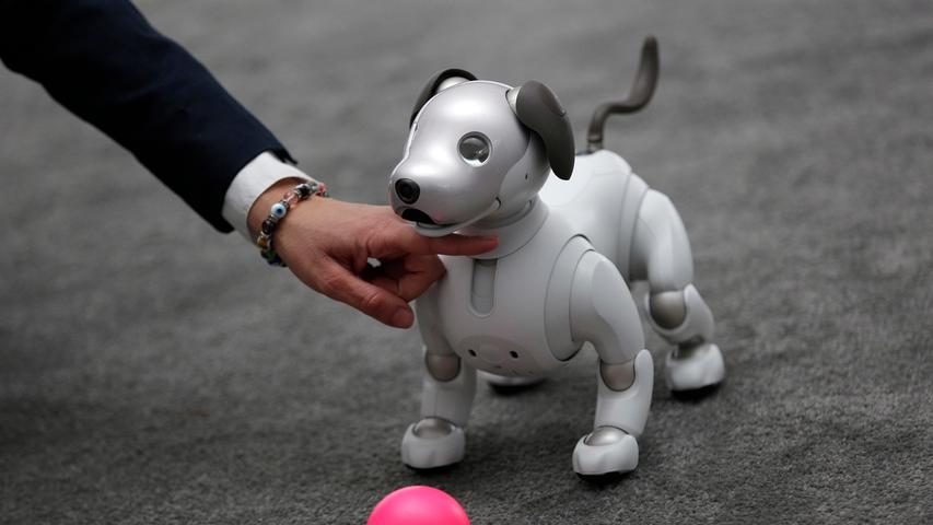 Der Roboterhund "Aibo" war schon am Anfang des 21. Jahrhunderts populär, verschwand dann aber wieder vom Markt. Seelenlos ist er noch immer, aber er soll jetzt durch künstliche Intelligenz noch echter wirken.