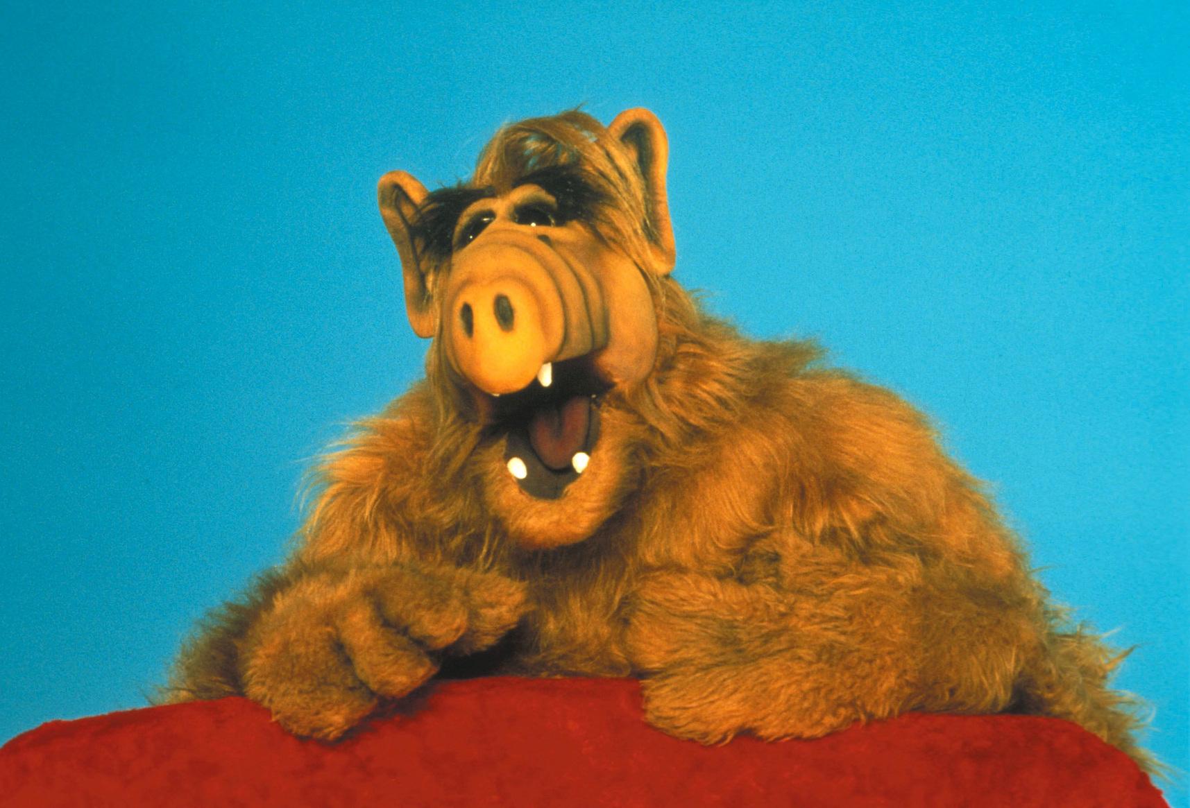 Alf ist zur&uuml;ck im Fernsehen: Fans k&ouml;nnen sich auf ganze 52 Folgen freuen.