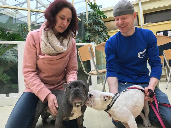 Tierheimleiterin Tanja Schnabel und Tierpfleger Marco Keilhofer kümmern sich um die überzüchteten Bulldoggen Amino und Saphira.