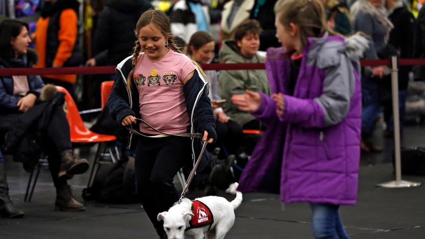 Springen, rennen, streicheln: Die Cacib-Hundemesse in Nürnberg