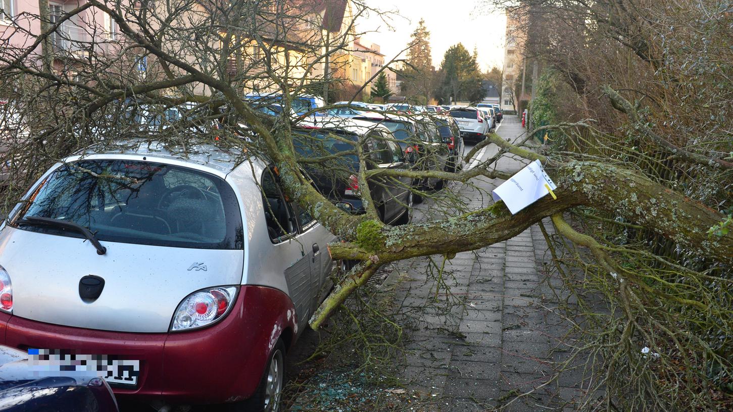 In der Gleiwitzer Straße in Erlangen wurde dieser Ford "Ka" Opfer eines Baumes.