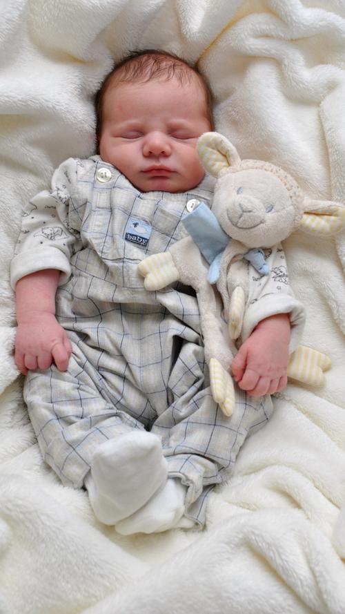 Mit Lämmchen im Arm schläft es sich besonders gut. Liam wurde am 11. Januar geboren, wog dabei 3960 Gramm und war 52 Zentimeter groß.