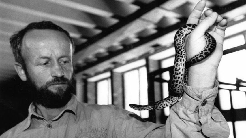 Der stellvertretende Tiergarten-Direktor Helmut Mägdefrau präsentierte 1997 den frisch geschlüpften Anakonda-Nachwuchs im Tropenhaus.