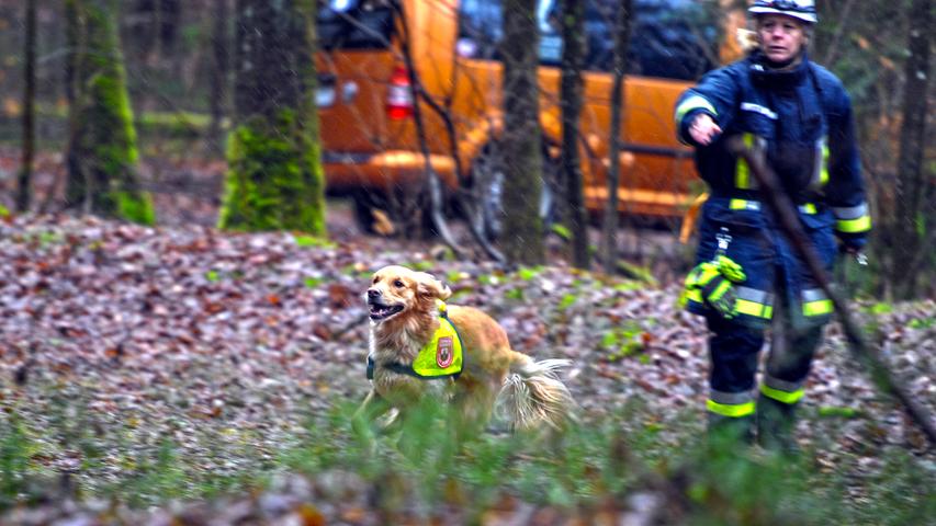 Spürnasen im Einsatz: Rettungshundestaffel probt für den Ernstfall