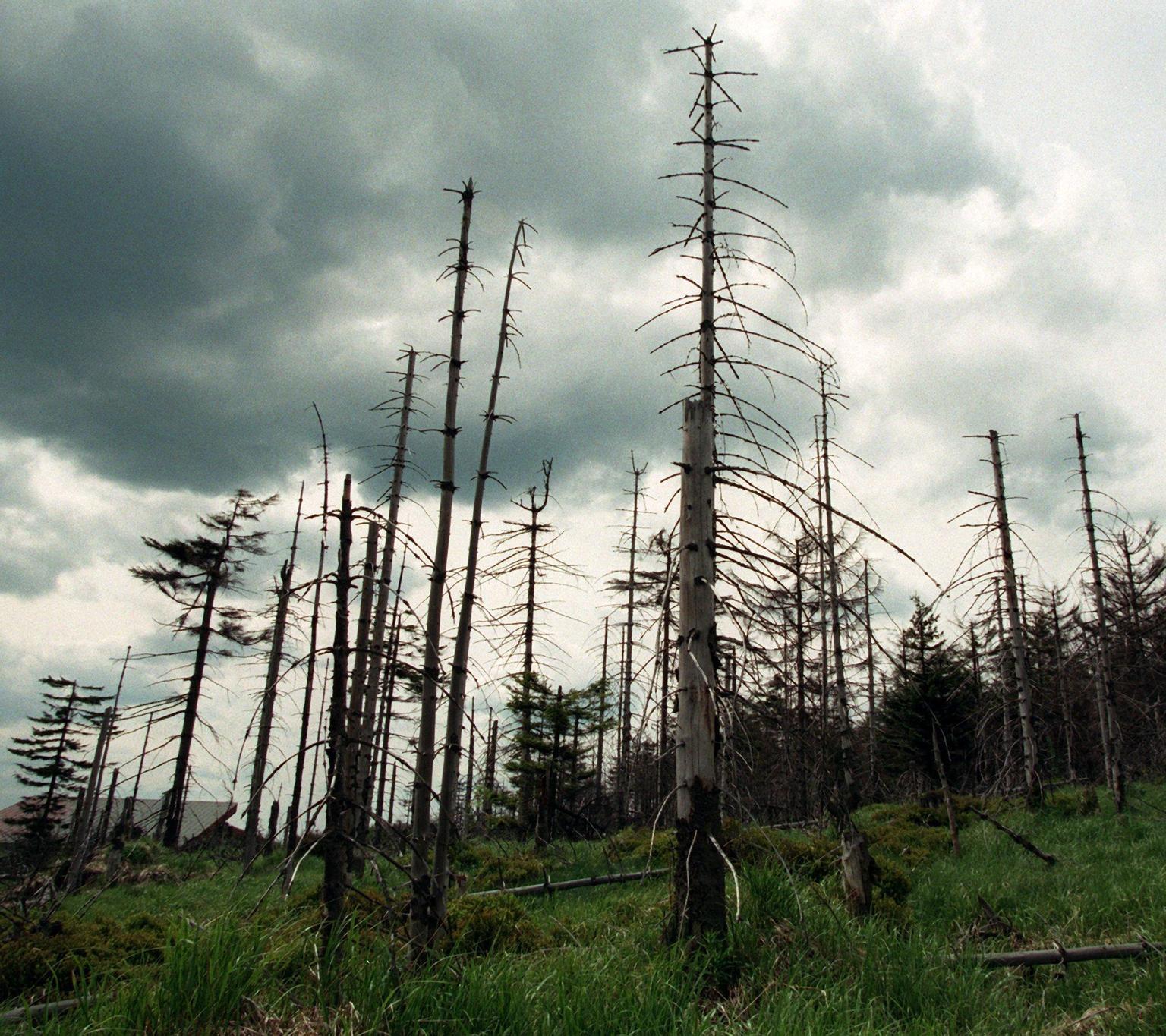 Was Ist Der Saure Regen Der Saure Regen ist in Franken nicht verschwunden - Nürnberg