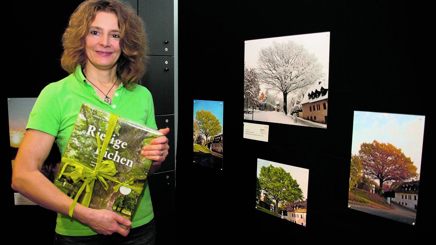 Stadtmuseum Fürth: Ein Bild von einem Baum
