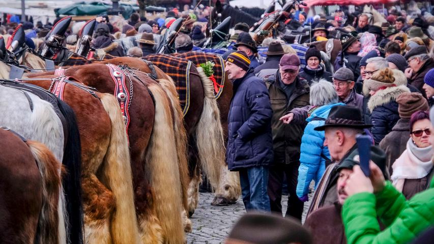 Prachtvolle Rösser, Tausende Besucher: Bilder vom Rossmarkt 