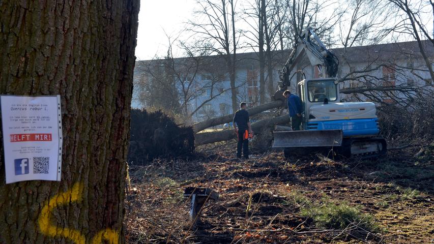 Im Februar 2017 wurden im Wohnquartier zwischen Paul-Gossen-Straße und Nürnberger Straße auf dem Areal der GBW 39 geschützte Bäume gefällt.